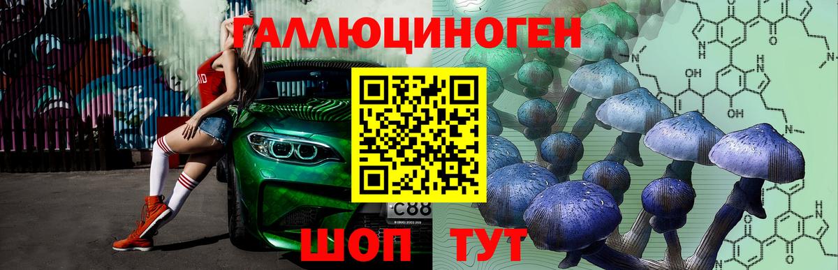 Карасук  Псилоцибиновые грибы GOLDEN TEACHER  Галлюциногенные грибы Magic Shrooms  Вход с VPN 