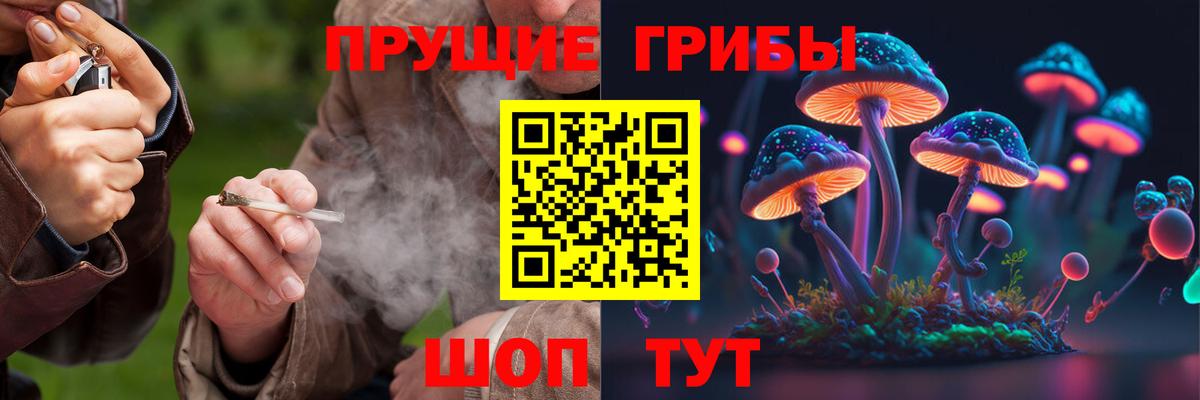 Псилоцибиновые грибы ЛСД Карасук